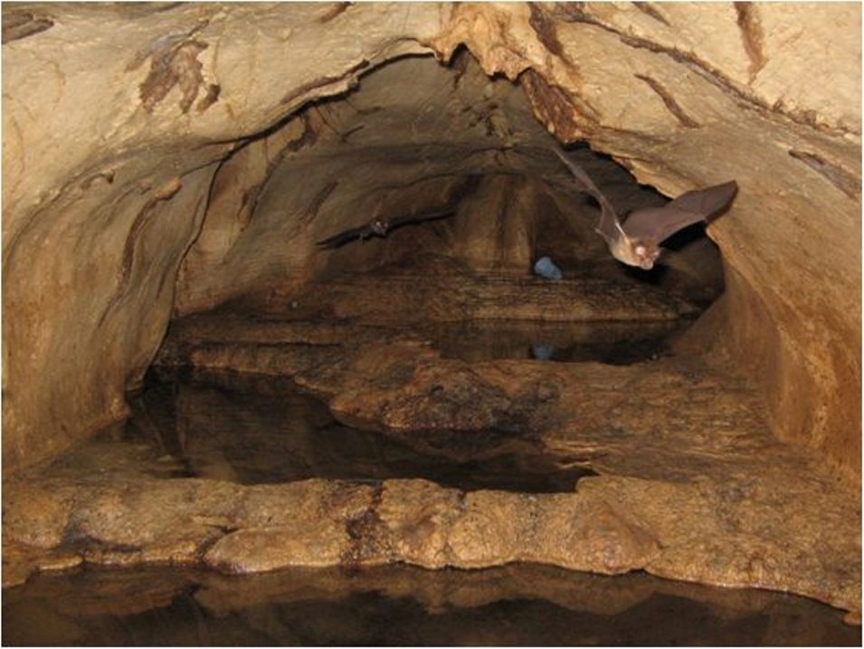 Karst Cave