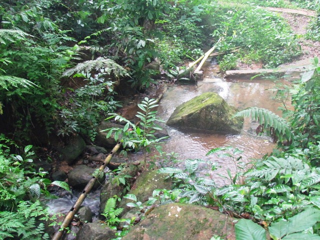 Small streams and springs