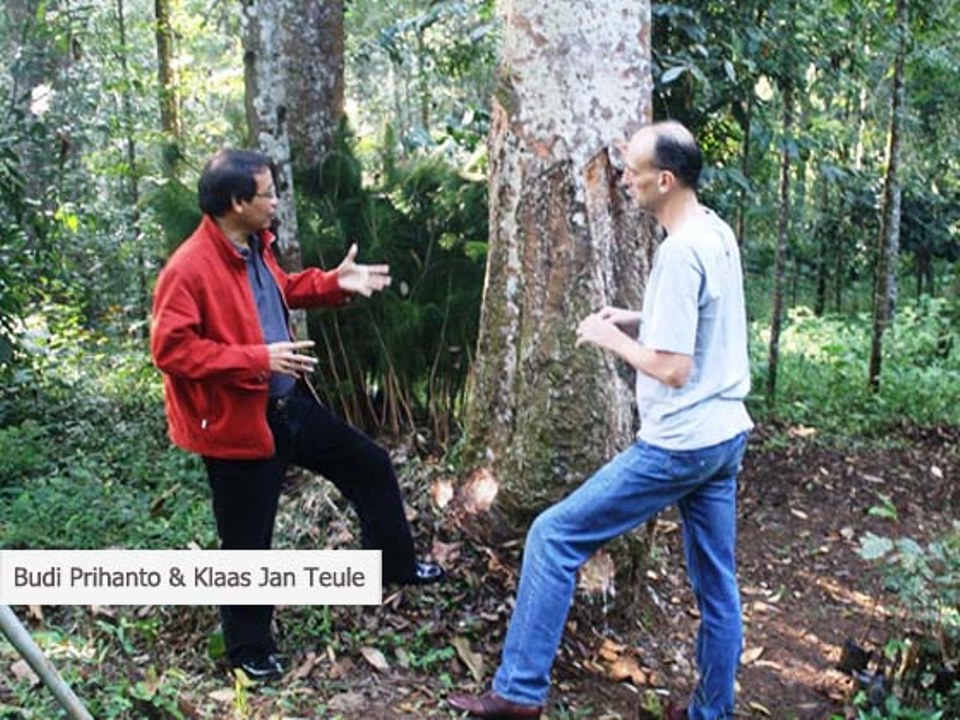 A collaboration meeting between WWF Indonesia and the Faculty The Forestry of IPB