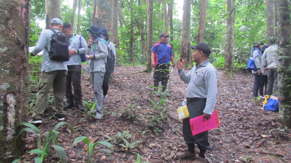 Education and Training by Center of Forestry Research and Development of the Ministry of Forestry and Environment