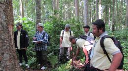 Education and Training for Technical Staff (ganis) in Forestry Planning