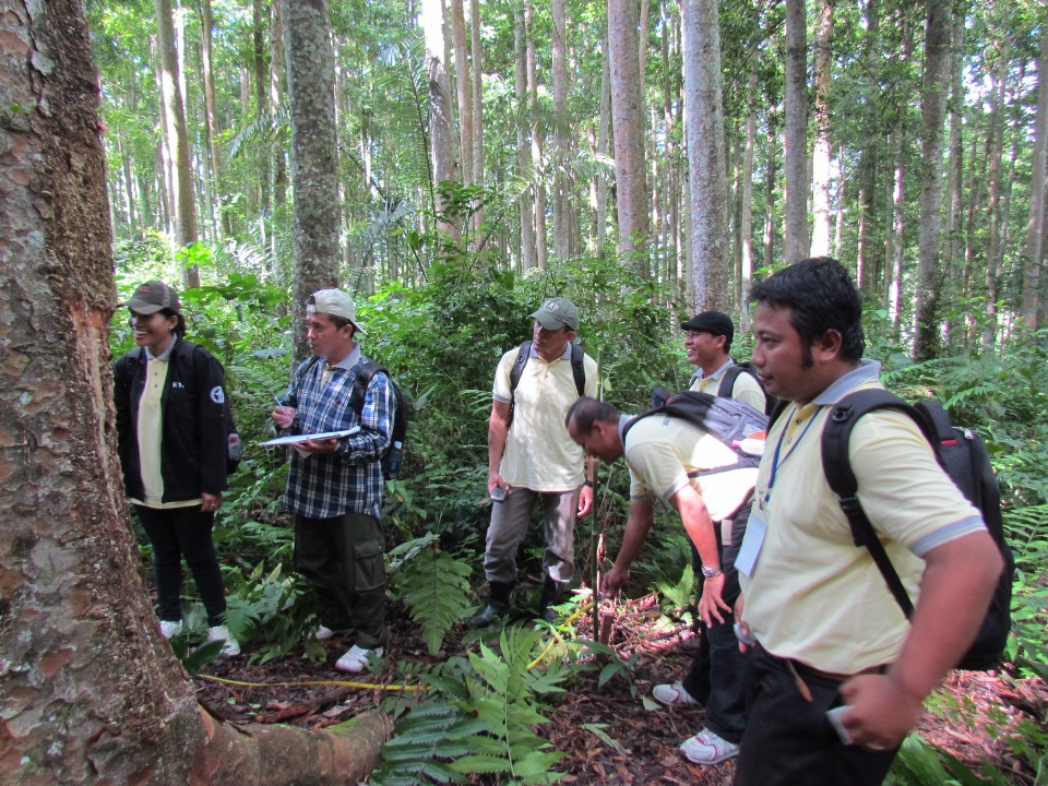 Education and Training for Technical Staff (ganis) in Forestry Planning