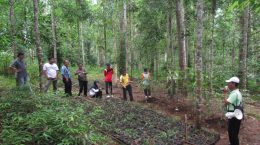 Education and Training of Educational Forest Management by Bogor Forestry Education and Training Center