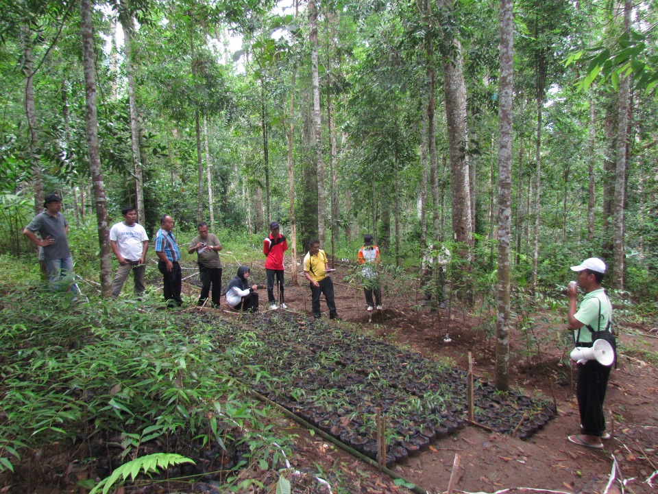 Education and Training of Educational Forest Management by Bogor Forestry Education and Training Center