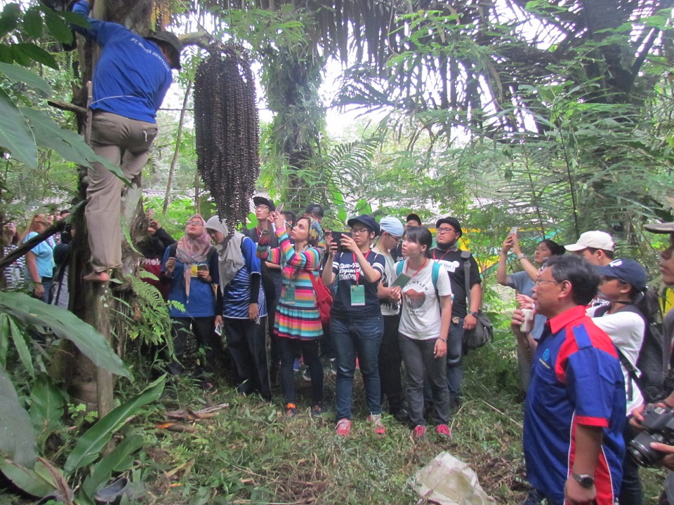 Fieldtrip of The 4th Asia-Pacific Regional Meeting (APRM) of IFSA (International Forestry Students' Association)