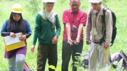 Monitoring Fieldtrip of Tree Health by the Postgraduate Students of the Tropical Silviculture, Department of Silviculture of the Faculty of Forestry of IPB