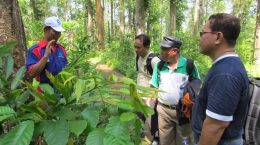 Observation of biodiversity in Community-based Forest and Watershed Are Management Project