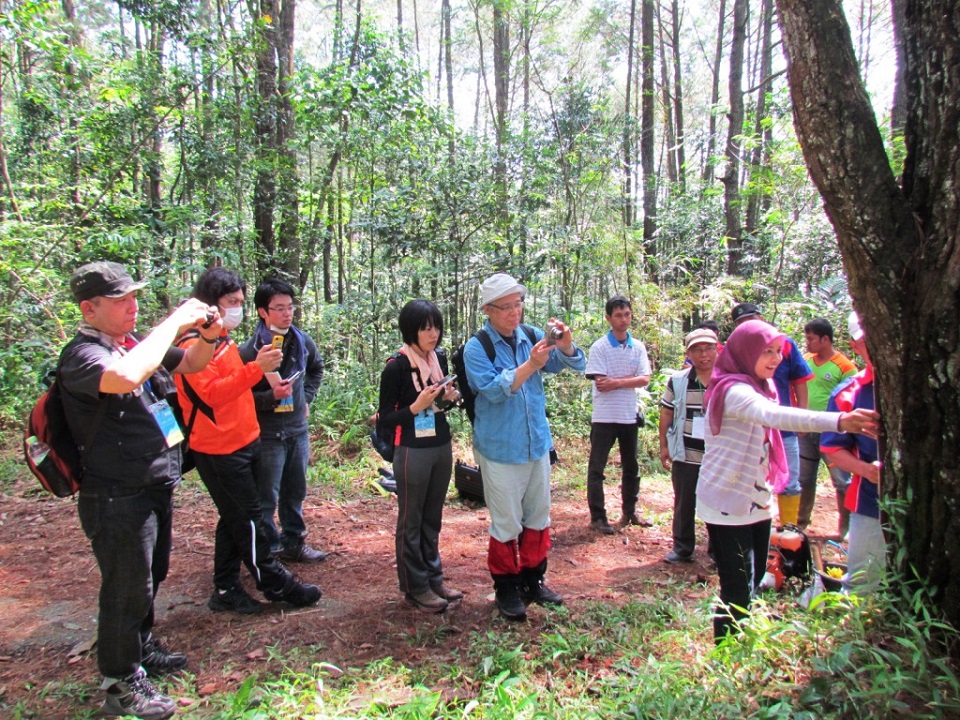 Summer Course of Ehime University Japan: Introduction to Tropical Forestry in Indonesia