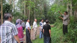 Training of Calliandra Cultivation by PLN Technical College Jakarta