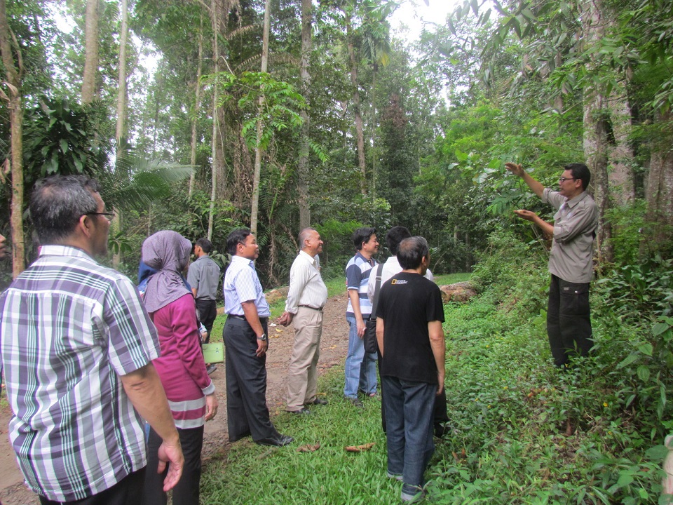 Training of Calliandra Cultivation by PLN Technical College Jakarta