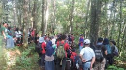 Training on Forestry Introductions for IPB Faculty of Forestry Students, 2016