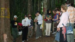 IFSS-International-Forestry-Student-Symposium