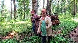 pencari kayu bakar warga-sekitar hutan pendidikan gunung walat