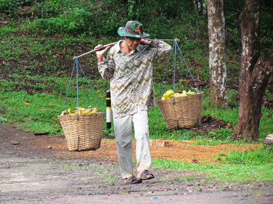 penjual pisang (hasil kebun sendiri)