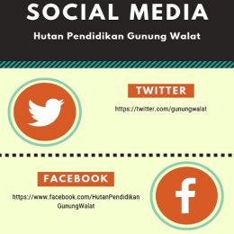 INFOGRAFIS media sosial Hutan Pendidikan Gunung Walat Sukabumi