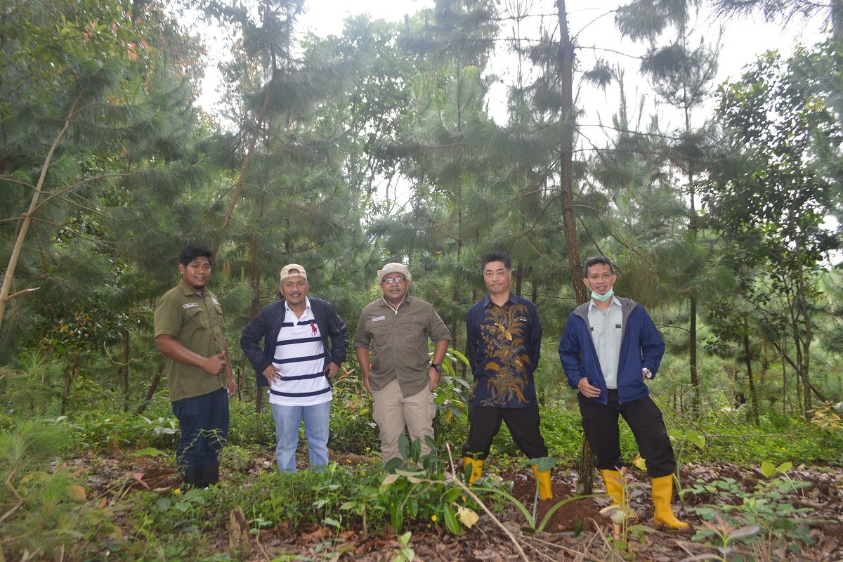 Peninjauan tanaman kerjasama oleh PT TOSO Industry Indonesia tahun 2021