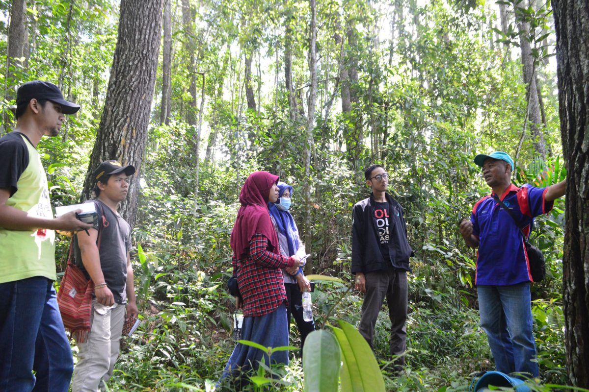 Studi Banding oleh Pusat Kajian dan Edukasi Hutan (Puskasitan) Olat Banga Universitas Teknologi Sumbawa