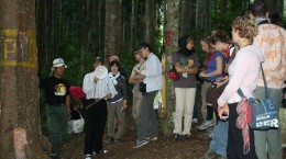 IFSS (International Forestry Student Symposium) hutan pendidikan gunung walat