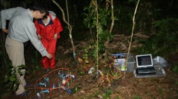 penelitian kyoto university di hpgw hutan pendidikan gunung walat