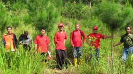 Peninjauan tanaman kerjasama oleh PT TOSO Industry Indonesia tahun 2013
