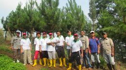 Peninjauan tanaman kerjasama oleh PT TOSO Industry Indonesia tahun 2015