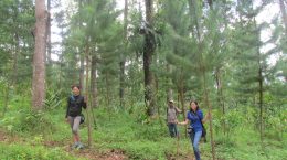 Peninjauan tanaman voluntary carbon trading oleh ConocoPhillips Indonesia, Ltd