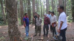 Studi banding produksi getah agathis oleh Pegawai Balai Besar Taman Nasional Gunung Gede Pangrango Sukabumi