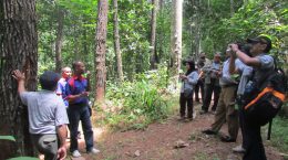 Praktik Rehabilitasi dan Kreativitas Pengembangan Produksi Hasil Hutan oleh Pusdiklat Kehutanan Bogor