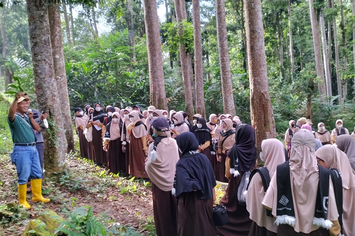 Pesantren Wisuda SMP IT Insantama Bogor tahun 2022